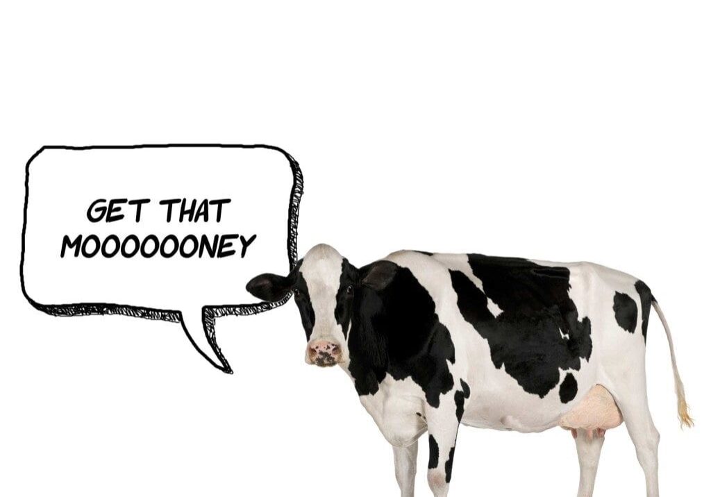 cash-cow-thank-you-bkg cash-cow-thank-you-bkg